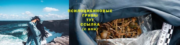 не бодяженный Богородицк