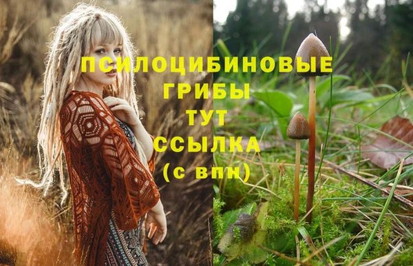 не бодяженный Богородицк