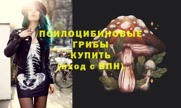 МДМА Богданович