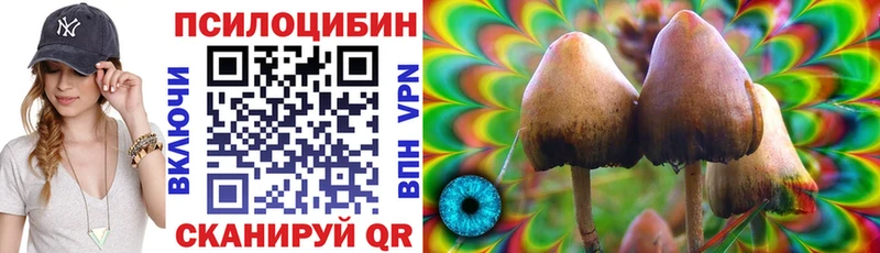 Псилоцибиновые грибы MAGIC MUSHROOMS  Междуреченск 